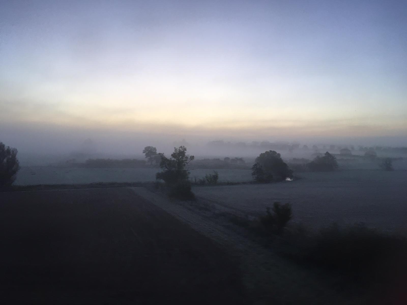 Misty Scene